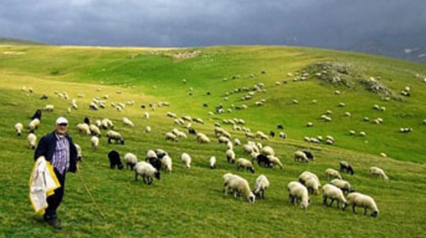 1000 liraya &ccedil;oban yok...