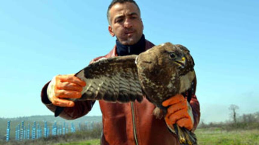 Yaralı doğana şefkat eli