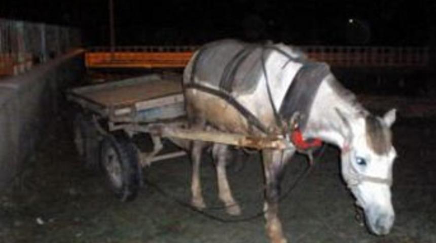 At arabacılardan protesto