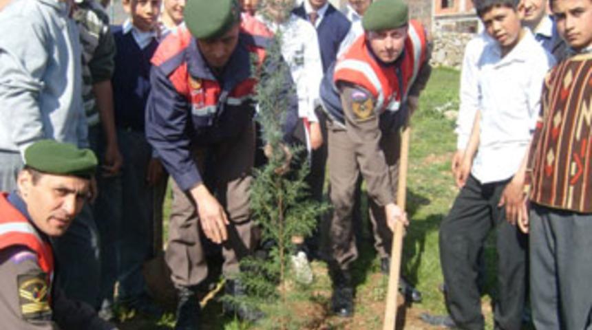 Minkler asker abileri ile fidan dikti