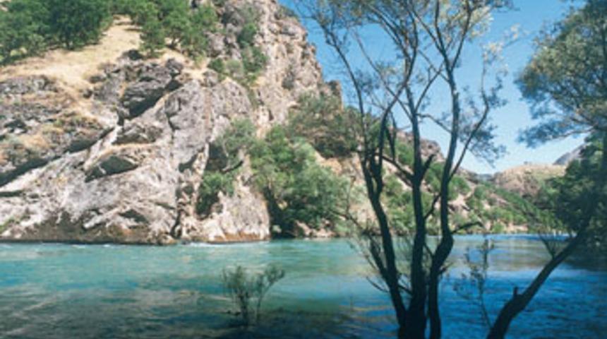 &quot;Munzur Vadisi'ne Baraj Yapılmasın&quot;