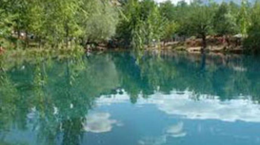 Takıldığı dal hayatını kurtardı