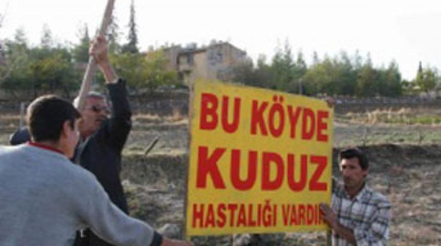 Yağcılar K&ouml;y&uuml;'ne kuduz karantinası