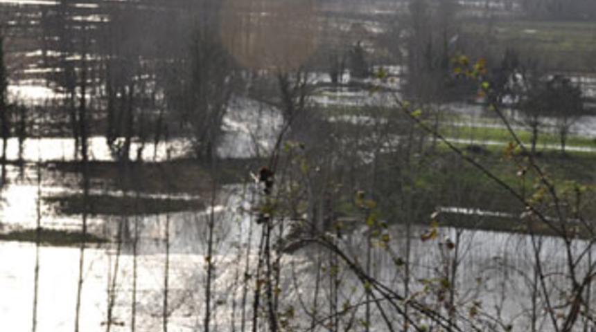 Sinop Tarım İl Müdürlüğü sel uyarısı yaptı