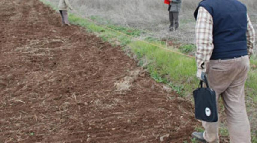 Pancar ekimi başladı