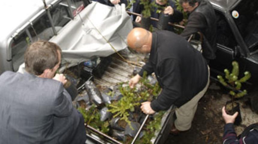 Senin de bir dikili ağacın olsun