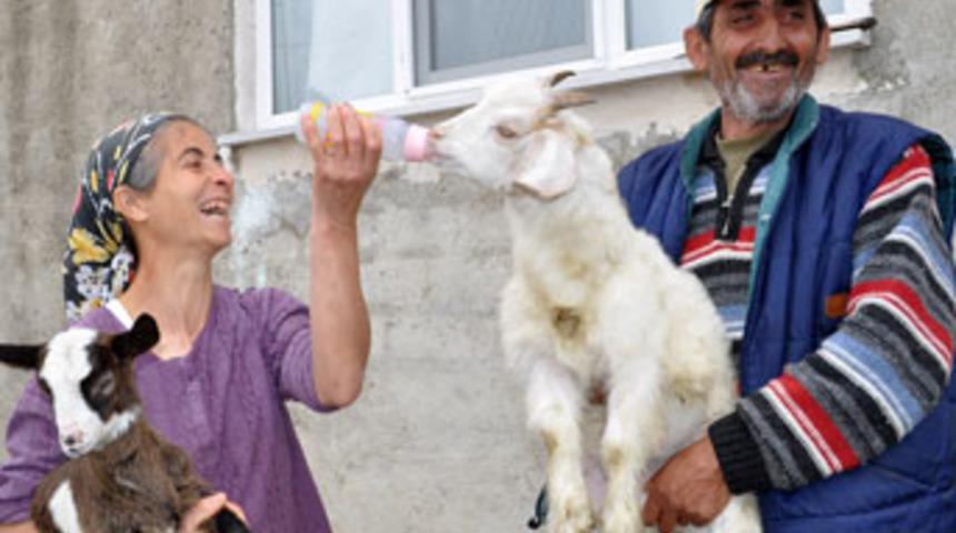 Besici ailenin hayvan sevgisi