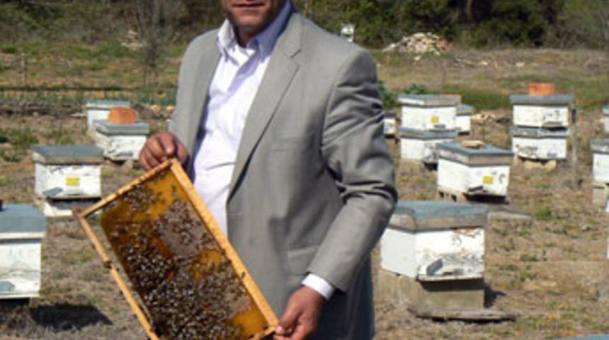 Yılda 100 bin ton &ccedil;am balı &uuml;retiliyor