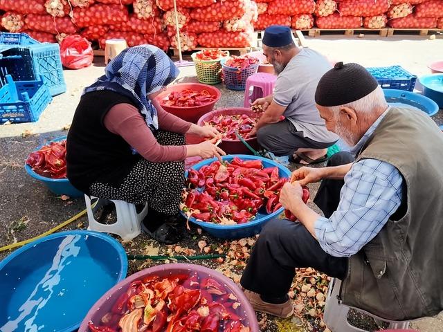 Yaz bitmeden kış telaşı başladı! Vatandaşlar kasa kasa almaya başladı