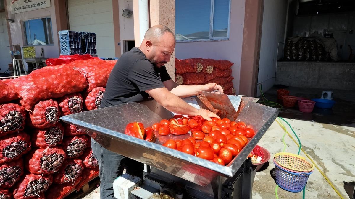 Yaz bitmeden kış telaşı başladı! Vatandaşlar kasa kasa almaya başladı 2