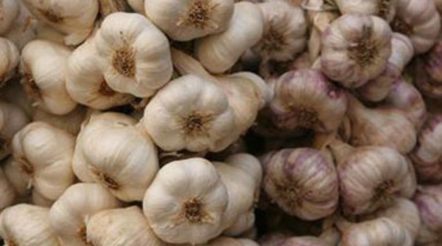 Sarmısak arası eroin sevkiyatı