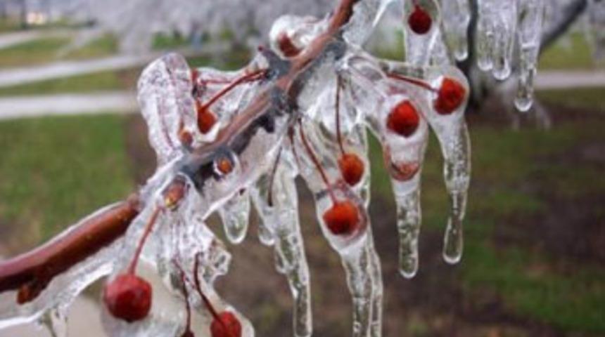 Çiftçilere don uyarısı