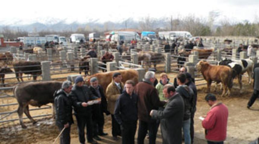 Kırşehir hayvan pazarı açılıyor