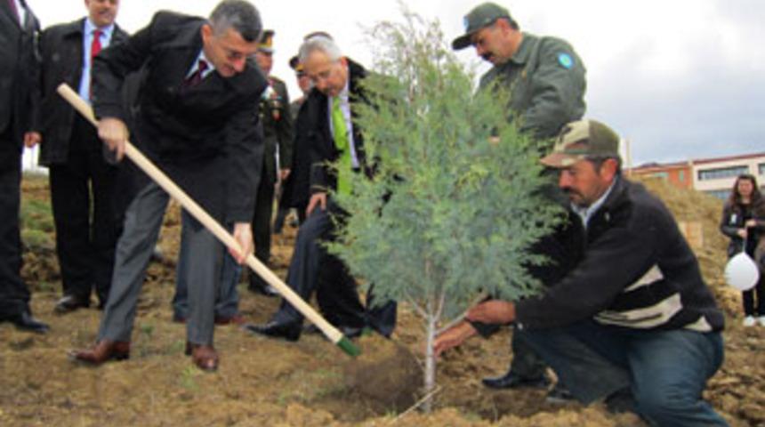 Fidanlar toprakla buluştu