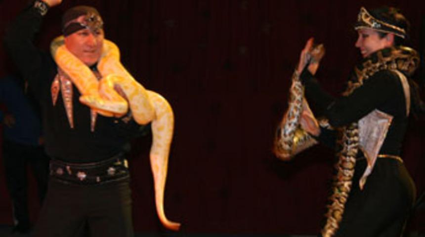 Avrasya sirkine büyük ilgi