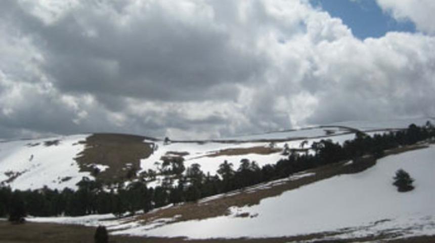 Vali Tapsız Tınaztepe'de