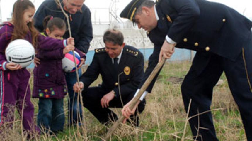 Bir fidan da sen dik