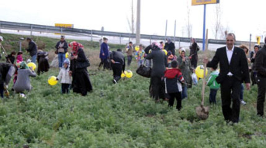 1000 adet fidan dikildi