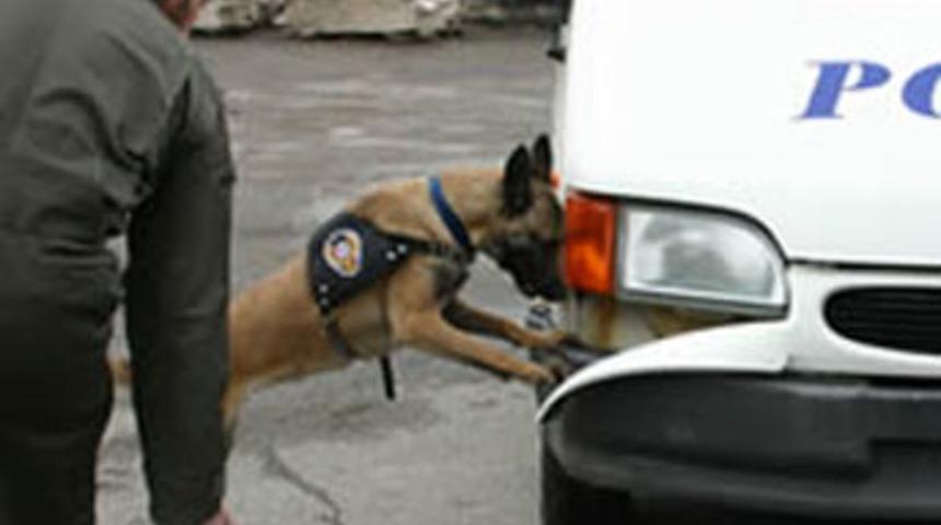 &Ouml;ğrenciler sakladı, Rota buldu