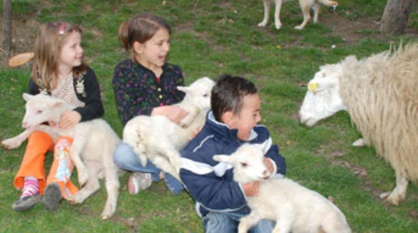 4'üzlere yoğun ilgi