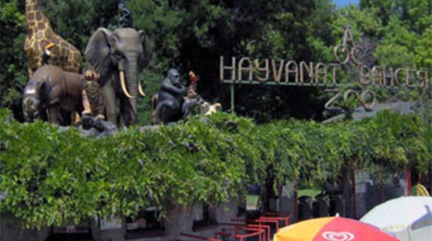 Belediyeden hayvanat bahçesi müjdesi