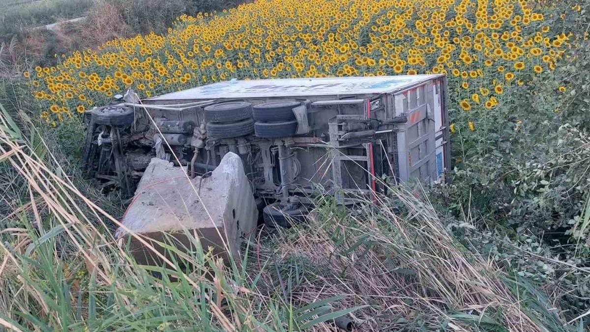 Kamyonet ayçiçeği tarlasına uçtu - Mynet Yaşam
