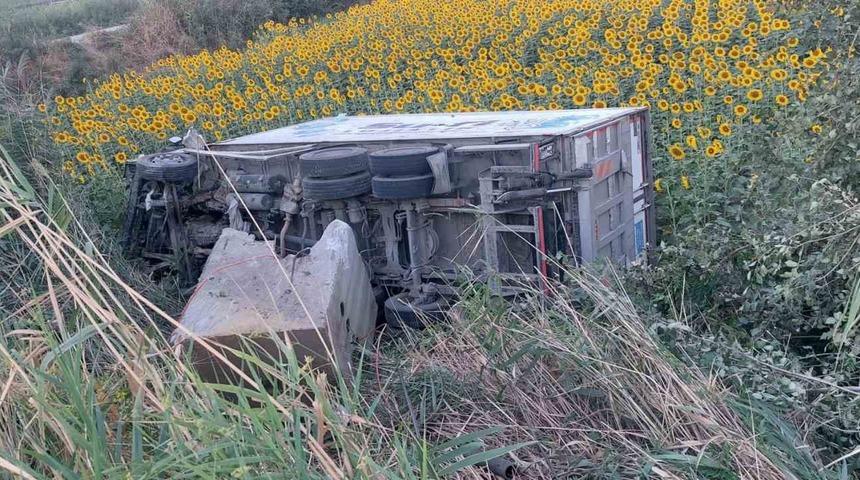 Kamyonet ay&ccedil;i&ccedil;eği tarlasına u&ccedil;tu