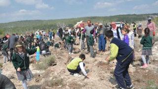 Öğrenciler ağaç dikti