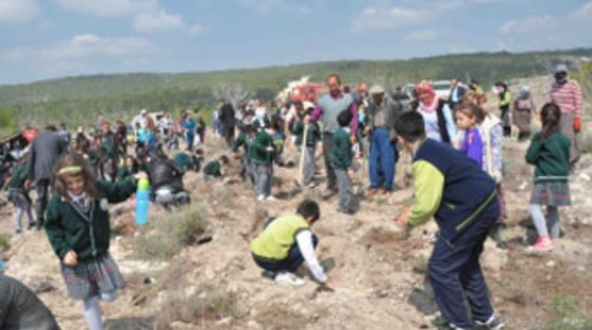 Öğrenciler ağaç dikti