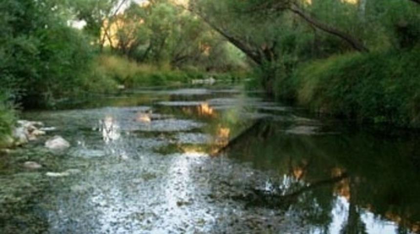 Baharın habercisi "leylekler" g&ouml;&ccedil;e başladı