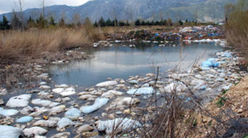 Koruma altındaki gölde çevre katliamı
