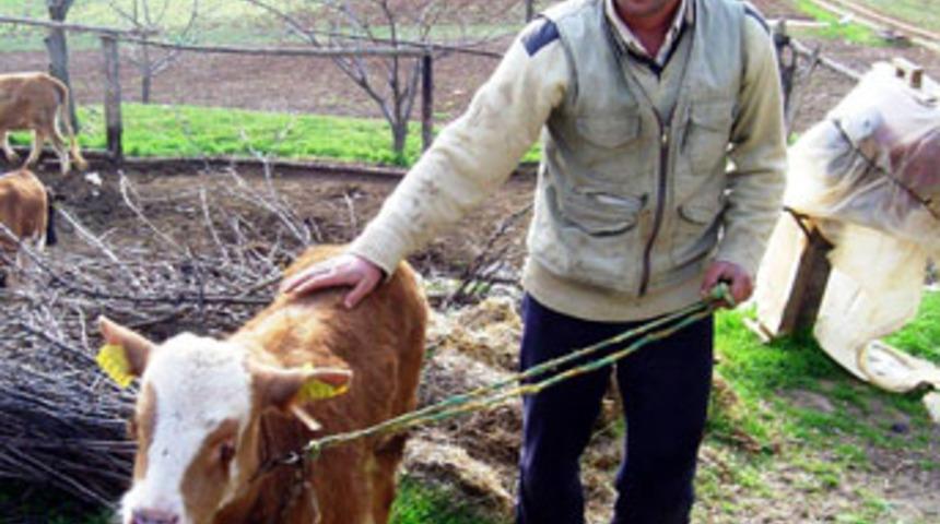 G&ouml;zleri yok ama "ilgi odağı"