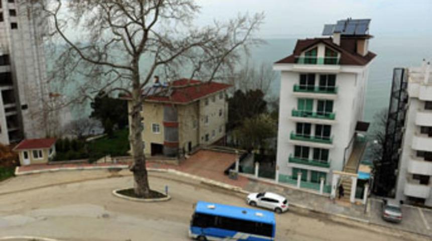 Caddenin bek&ccedil;isi 2 asırlık &ccedil;ınar ağacı