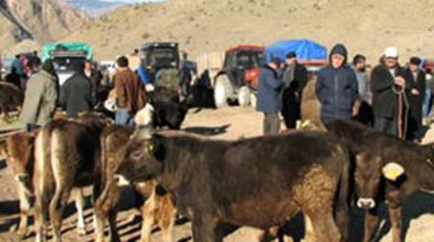 Acıpayam'da şap tehdidi kalktı