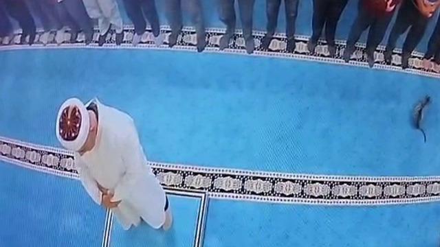 Namaz sırasında kediye bunu yaptı: İmamın kafasına geldi! Gözaltına alındı