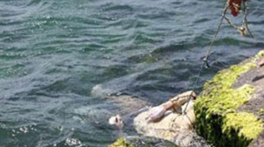 Bakırk&ouml;y sahilde erkek cesedi bulundu