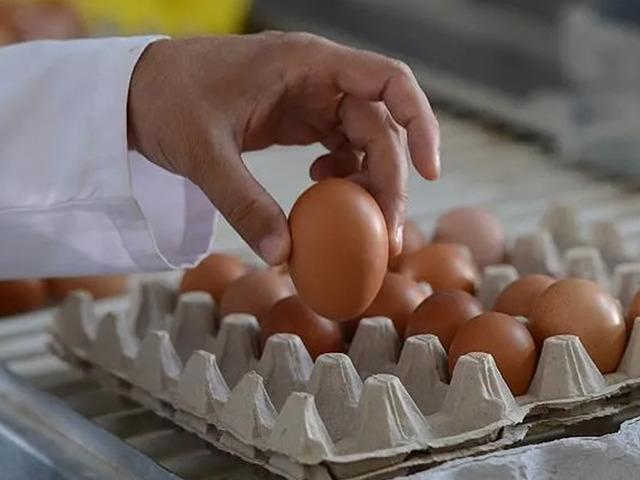 30'lu yumurtanın ideal fiyatını ne kadar? &Uuml;reticiler a&ccedil;ıkladı