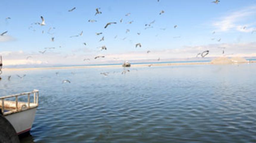 2 milyar inci kefalinin g&ouml;&ccedil; macerası başladı