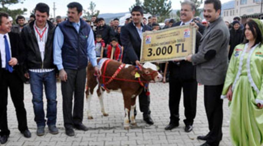 Miss Buzağı 2011'in galibi, Fatoş