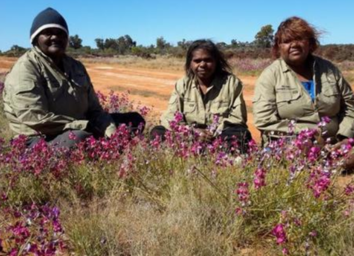 Hükümetler onları yok etmek için can atıyor! Sadece 180 kişi kaldılar G5
