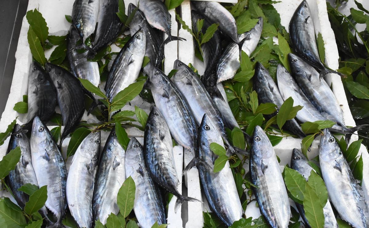 Tanesi 30 TL ye bile var! Herkes eli kolu dolu döndü 1