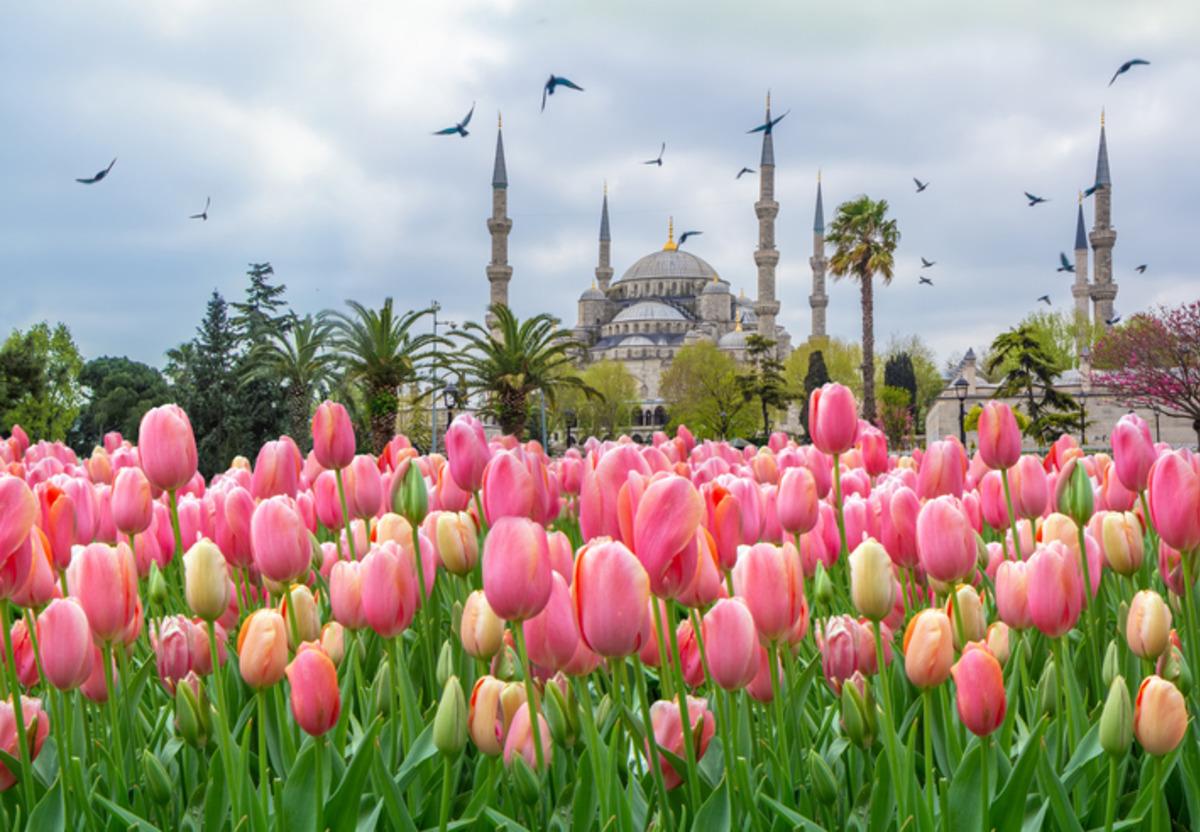 Bu 4 &ccedil;i&ccedil;ekten birini se&ccedil;in! Aşkta nasıl biri olduğunuzu g&ouml;r&uuml;n 3