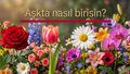 Bu 4 �i�ekten birini se�in! A�kta nas�l biri oldu�unuzu g�r�n