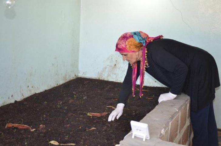  15 bin lira krediyle kendi işini kurdu! G1