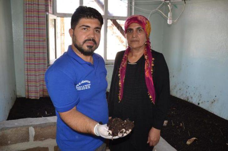  15 bin lira krediyle kendi işini kurdu! G3