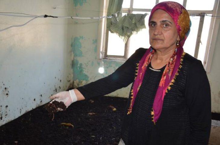  15 bin lira krediyle kendi işini kurdu! G5