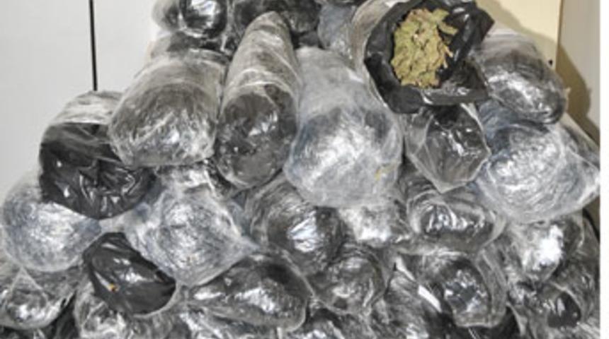 Esrar kaçakçısından ilginç savunma