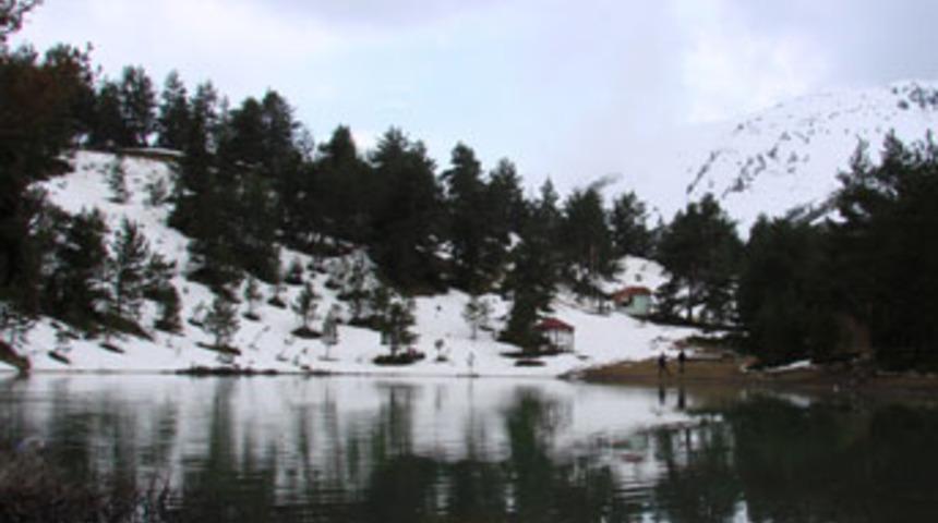 Zigana beyaza b&uuml;r&uuml;nd&uuml;