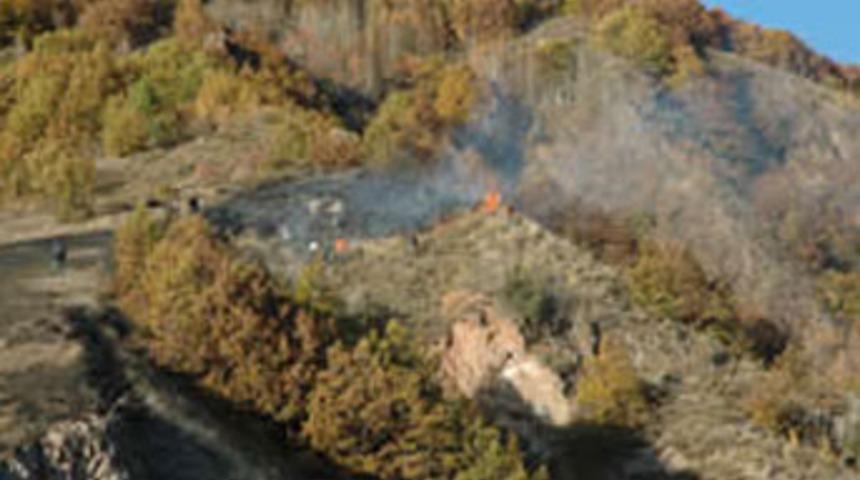 Ardahan'da&nbsp;orman yangını