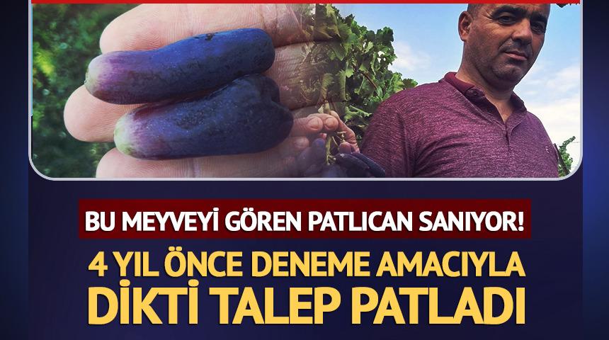 4 yıl &ouml;nce deneme amacıyla dikti, talep patladı